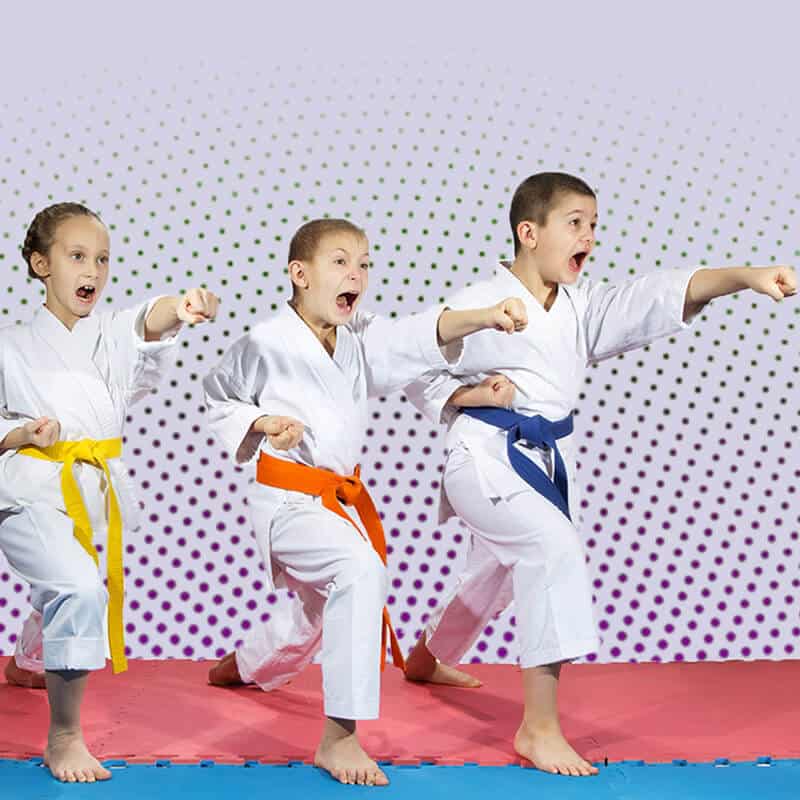 Martial Arts Lessons for Kids in hohokus NJ - Punching Focus Kids Sync